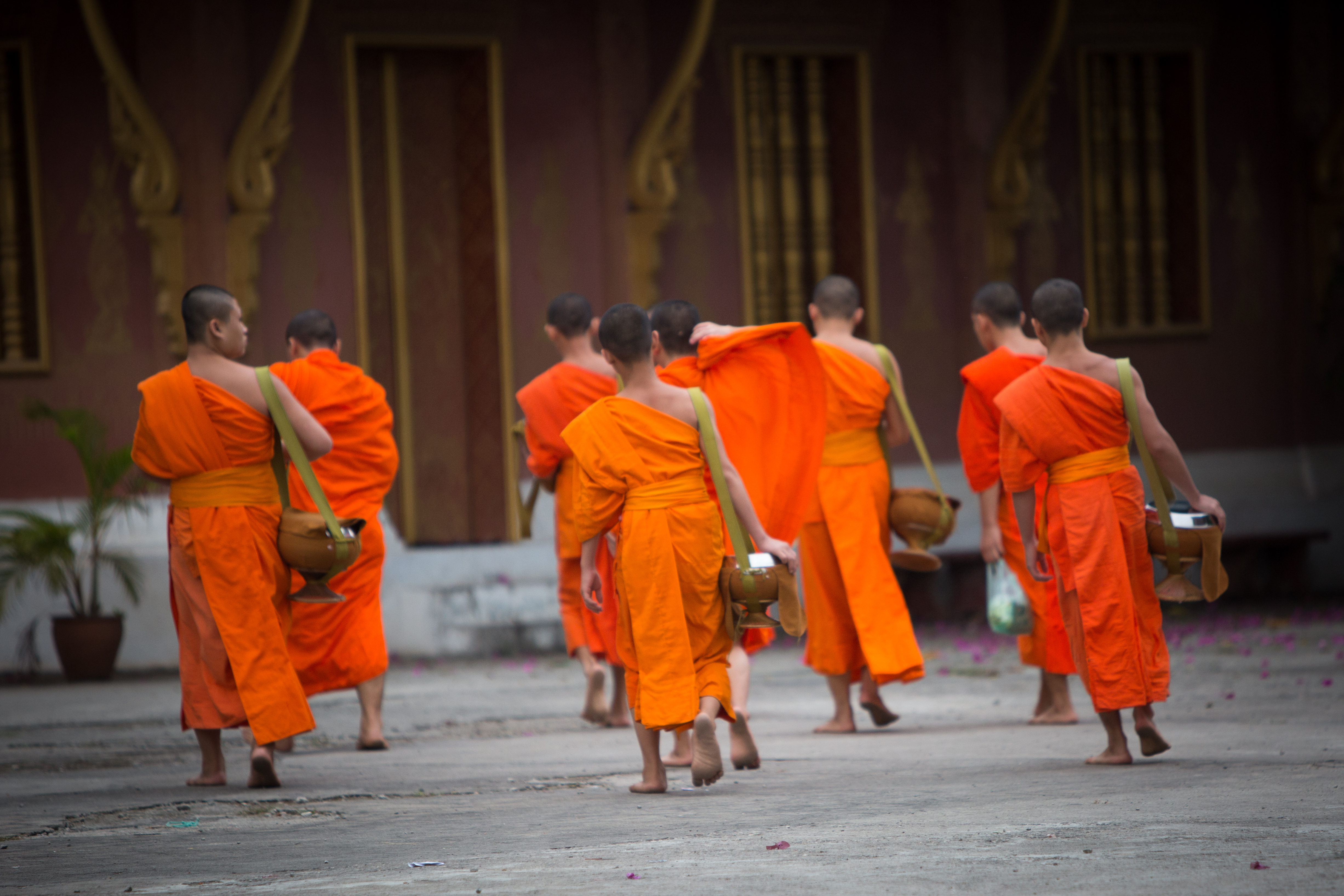 monks returning to temple after alms giving